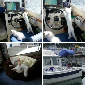 Crossing the Strait of Juan de Fuca
