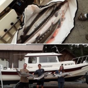 Only time we have ever limited out on anything!