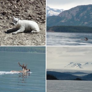 Atlin Lake in relationship to Juneau & Skagway, Alaska