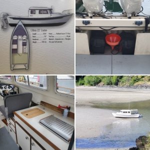 Gelcoat, windows and overall condition is very good. Shines up nicely.