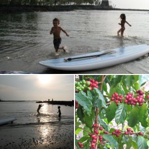 misc2 019Kona coffee anyone?