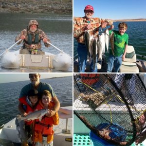 (Cygnet) 31" Texas Red (Red Drum)