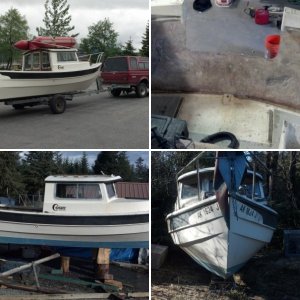 First Look of My New Dory #1
