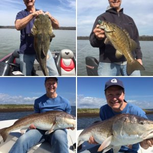 Redfish32