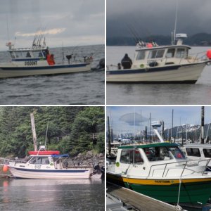 C-Dory 26 compilation