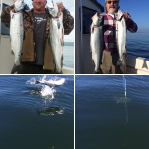 3 Limits