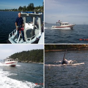 Dave's Workboat