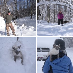 Cabin in winter.  A 61 acre wooded valley with a 2 acre stocked lake in the middle of Amish country.  The nearest neighbor is 1/2 mile away and it's only an hour from home.