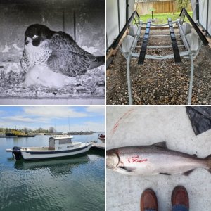 1985 C-Dory 22 Angler Classic entering Canadian  Customs  Oct.9/09