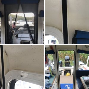 Boat cabin door screen
