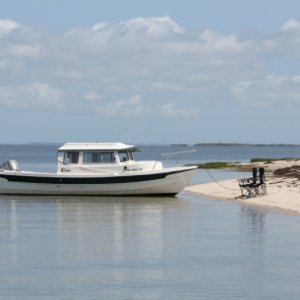 Otter on Tangier Island, Chesapeake Bay