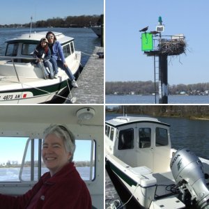 (nscogin) At Cutters Dock
