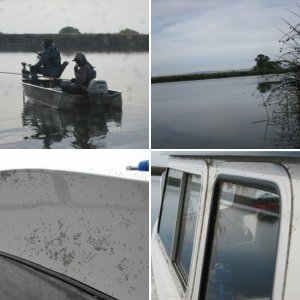 Last Weekend in May. I launched on the far side of Frank's Tract Friday morning.