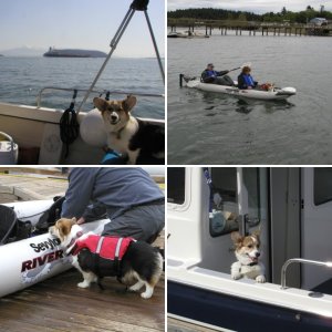 (grouperdog) The C-Puffin is the 83rd 25 foot C-Dory produced
