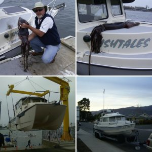 Fishtales at Santa Cruz Island