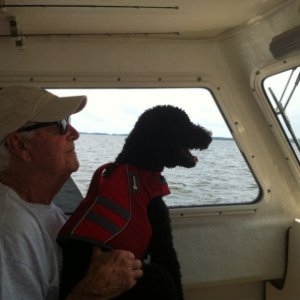 Dad and Chilli Dog