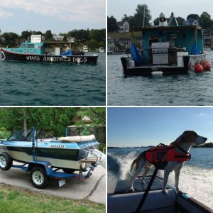 The Sea Beagle! 1987 Glasstream 152 Tempest vith Volvo Penta 4 cylinder. We completely restored this boat.
