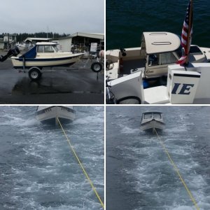 C-Dory 14