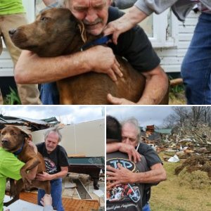 A Man Reunites With His Dog After The Alabama Tornado 1