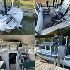 C Gull For Sale