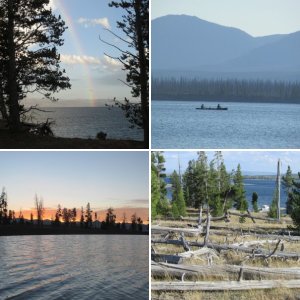 Yellowstone Lake 2015