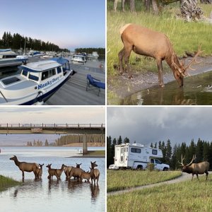 June 3rd, our 53 Wedding Anniversary & on our way to put the boat n Yellowstone Lake for the season.  Stopped here at Shieffeld Forest Service campground on the border of the south entrance of Yellowstone National Park for the night