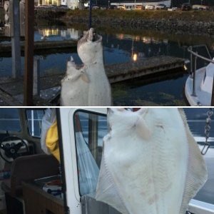 Big But, 11 June 2016, Prince William Sound