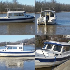c dory profile