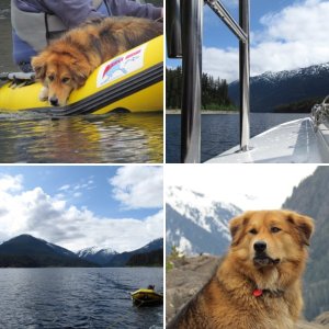 Strathcona Provincial Park