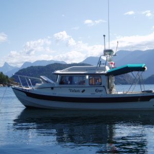 Mink Island, July 2015