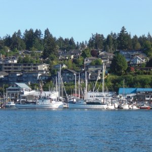 Cowichan Bay.