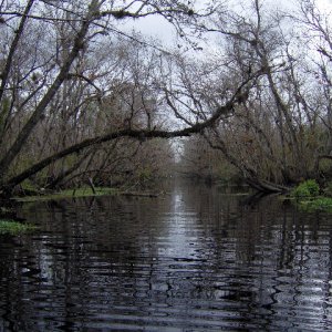 About a mile long canal from dead river to St. Johns. Impassable, rowing the dink I got about half way.