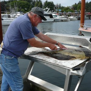 Cleaning the catch