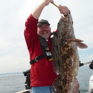 We were jigging these guys in 220ft of water with 16oz pipe jigs.
