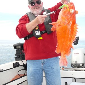 This yelloweye was 12lbs. We kept two caught while jigging for ling cod.