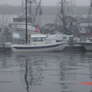 1 Oct Fisherman's Terminal
At the new guest dock
