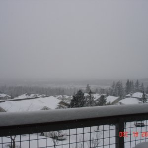 Media '18 December Bellingham 
Looking northwest. Wind is 
picking up and blowing 
the snow off of the rooftops.' in album '8 June 2008 Bothell, WA
Robbi, Jack, Joe, Pat,
Cordell & Ruth'