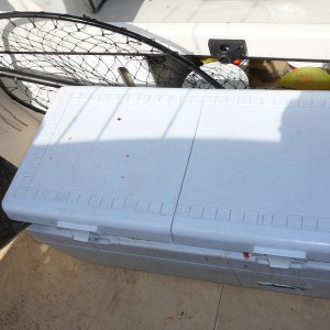 too big for the fishbox