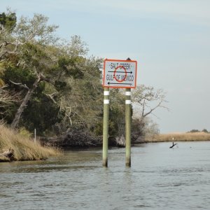 On our way to the gulf.