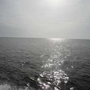 Gulf of Mexico at the Suwannee Mouth