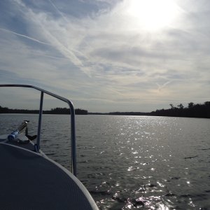 The Suwannee is big at the mouth