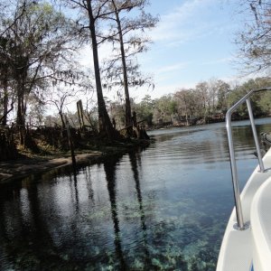 Fanning Springs