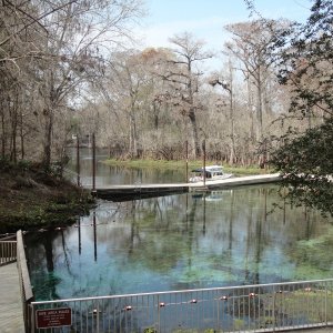 Media 'the water was very low this year.' in album 'We launched at Suwannee Marina'