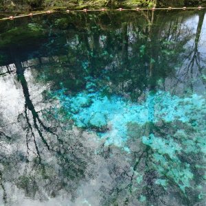 Media 'Fanning Springs.  30 ft+ deep.  Around a million gallons a day flow.' in album 'We launched at Suwannee Marina'