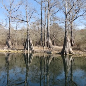 The Sante Fe River