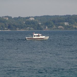 48