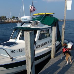 Loading up for an overnight in the cove of the island.