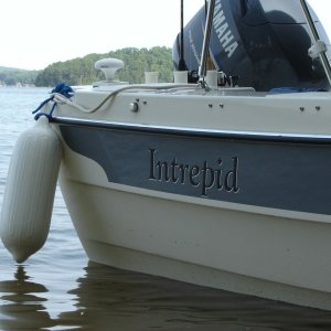 The Intrepid