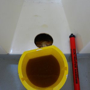 About 2 gallons of (nasty) water in there!