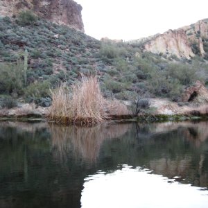 inside First Water bridge cove